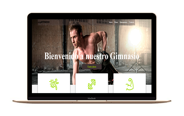 ejemplo de sitio web 5